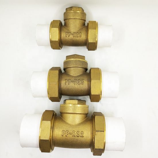 China Factory 3/4 Inch PPR Horizontal Brass Check Valve with Union (DW-CV027)