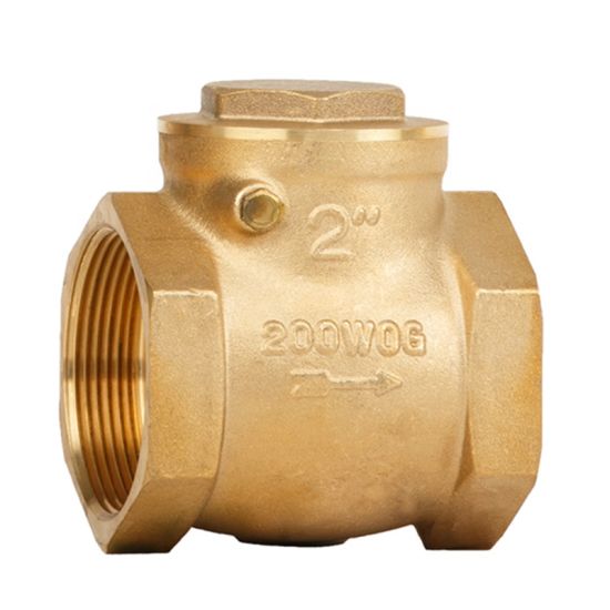 China Low Pressure Bronze Swing Check Valve with Soft Seat (DW-CV026)