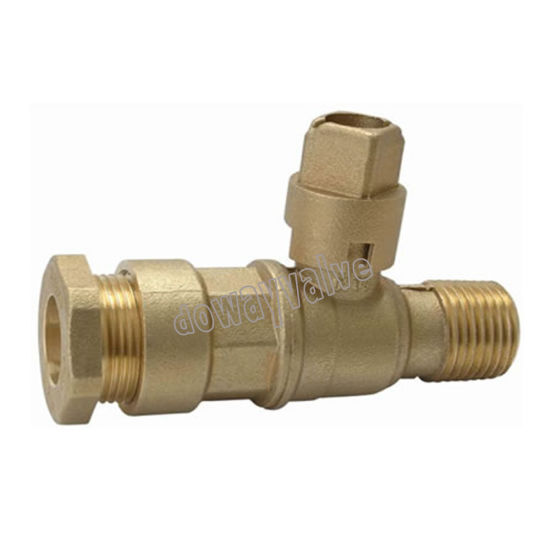 China Supplier 1/2 Inch Brass Lockbale Valve with Male Thead （DW-LB045）