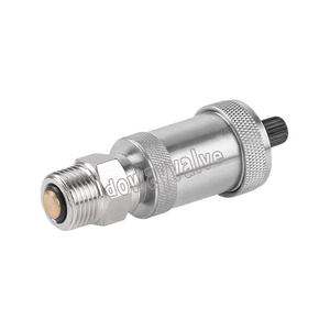 Pn16 Design Vertical Brass Air Vent Valve (DW-VV004)