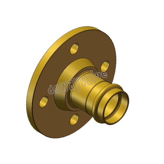 Watermark Approval Brass Wall Plate Female Elbow