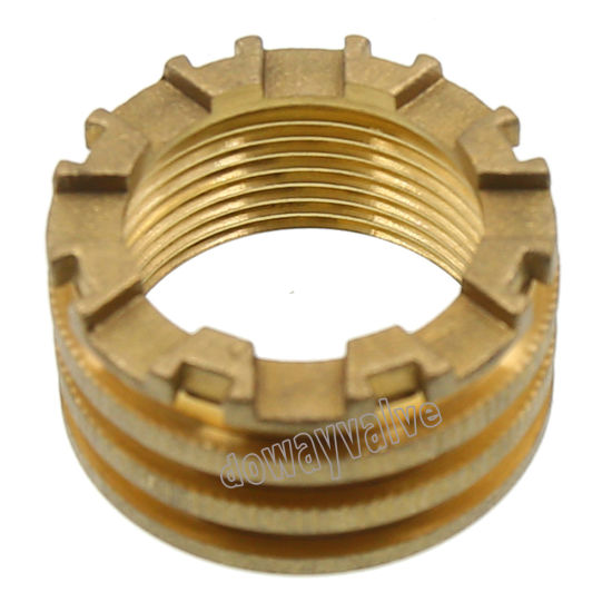 CZ132 Female Brass PPR Insert Fitting (DW-PP007)