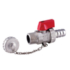 1/2" Brass Boiler Valve with Chain and Cap (DW-372)