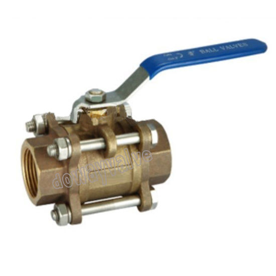 Ball Valve with Threaded Connection (DW-BV01)
