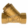 2 Inch Forged Brass Strainer with Stainless Steel Filter (DW-YS004)