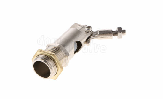 Copper/ Brass Stainless Steel Plastic Float Ball Valve for Water Storage Tank Sump (DW-F203)