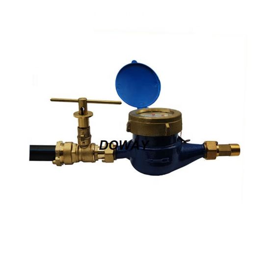 Natural Surface Brass Water Meter Coupling Accesories of Water Meter （DW-WC021）