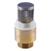 Pn20 Forged Brass Foot Valve with Filter (DW-CV012)