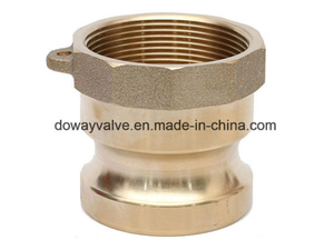 Forged Brass Type a Camlock Adapter(TYPE A)