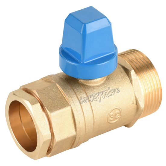 OEM Factory Europe Market High Quality Dn20 Brass Connect Valve （ DW-C105）