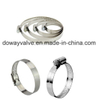 American Worm Type Clamp Customize American Hose Clamp(DWF139)