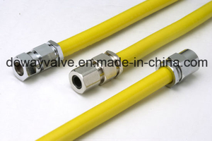 Good Price for Nature Gas Hose (DW-GH01)