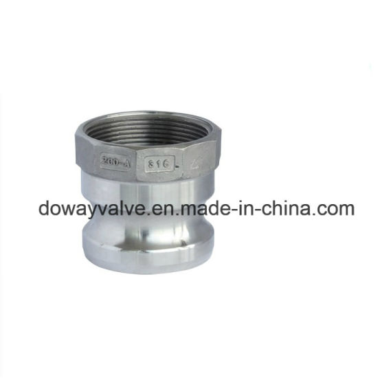 Type F Stainless Steel Camlock Coupling Adapter